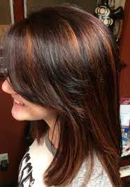 Burnt Brown Combines A Natural Chocolate Brown Color With Copper Highlights And Undertones T Cherry Hair Copper Highlights On Brown Hair Hair Inspiration Color