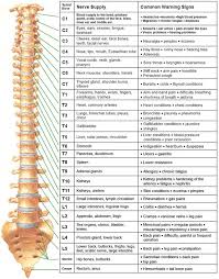 Chiropractic Care Chronic Condition Treatment Weirton Wv
