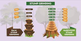 Tree removal permits grant permission to remove tree(s) from private property, and may include a requirement to plant a replacement tree(s). Tree Removal Cost Guide 2021 Tree Lopping Prices How To Save 43