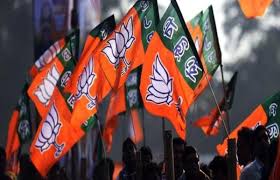 Bjp flag hd high quality 1080/1920p video effects. Bjp Prepares To Go Solo In Maharashtra In The 2019 Lok Sabha Elections Nagpur Today Nagpur News