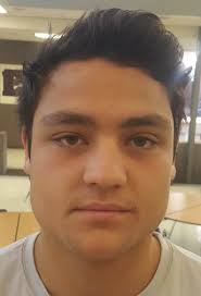 High school football: Lehi Pioneers 2019 preview