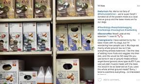 How long does honest kitchen dog food last? Why I No Longer Add A Base Mix To Raw Dog Food Keep The Tail Wagging