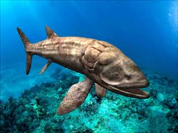 The leedsichthys cannot be tamed, however, it can be trapped so that tribes can scrape off raw prime meat from its body without killing it. Leedsichthys Fish 3d Model Cadnav
