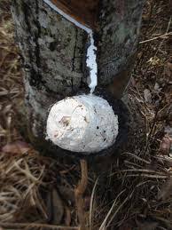 Perkembangan dan impak ekonomi (electricity services in the federated malay states before 1940: 3 Sumber Ekonomi Perak Satu Ketika Dahulu