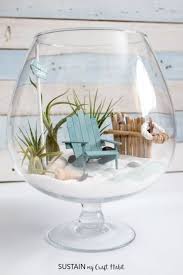 Diy Beachy Air Plant Terrarium Feengarten Sommerdeko Luftpflanzen
