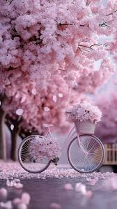 Tavari Brown (tavaritbrown)