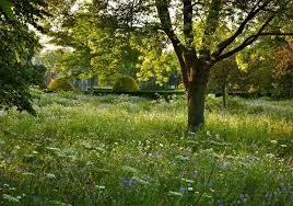 Pin By Greenes Landscape And Garden D On Woodland Garden Ideas English Garden Garden Design English Garden Design