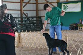 Letting go of a while sneaking immediately swings the net down. Holley Teen Is Small Animal Grand Master Showman Orleans Hub