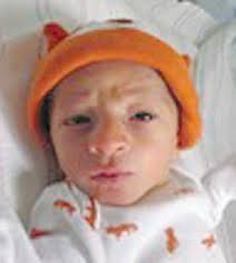 Steuben County births