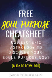 Free Soul Purpose Cheat Sheet Corretta Cannon In 2020 Purpose Quotes Inspiration Life Purpose Quotes Spiritual Awakening Quotes