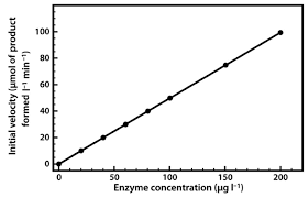 Chapter 6 Enzyme Principles And Biotechnological Applications Chemistry