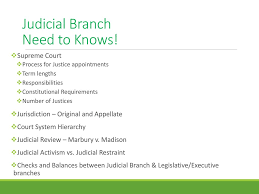 Judicial branch in a flash. The Ultimate Check In Our Government Ppt Download