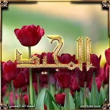 تصاميم انستغرام ابداعات اسماء الله الحسنى بعنوان المجيد Instagood Instagram Design God Allah Download Our App And Share Your Talent حمل تطبيق Photography Photo Islam
