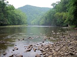 The monongahela national forest is a recreation destination and major tourism attraction. Datei Shavers Fork Monongahela National Forest Jpg Wikipedia