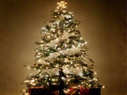 Parmi les sapins les plus conventionnels, généralement retenus comme arbres de noël, le sapin de nordmann sera l'un des plus persistants puisqu'il ne perd ses aiguilles que très tardivement. Comment Choisir Son Sapin De Noel Leroy Merlin