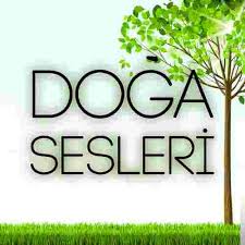 Karisik Sesler Dogal Kus Sesi Mp3 Indir Muzik Dinle Dogal Kus Sesi Download