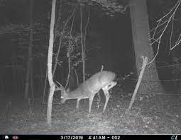 Have one farm with 12 one with 10 and my home unit with 8 that i can check from the house. Cuddelink Cameras Aldeer Com