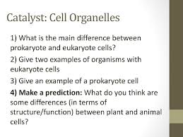 Aug 02, 2021 · animal cells have larger nuclei, while plant cells do not always need to produce chloroplasts to make food from light. Cell Organelles Ppt Download
