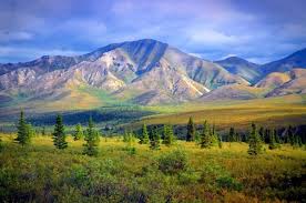 Gateway To Denali Interior And Arctic Alaska Alaska Travel Alaska Fairbanks Alaska