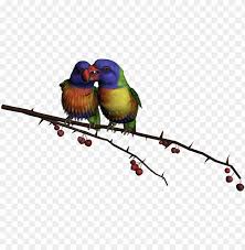 Check spelling or type a new query. Beautiful Flying Birds Png Image With Transparent Background Toppng