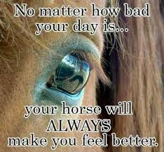 Horses Make Me Happy Quotes Sayings Funny Pinterest Horse Quotes Beautiful Horses Cowgirl Quotes