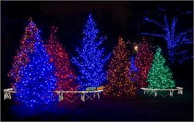 It S Beginning To Look A Lot Like Christmas Longwood Gardens Outdoor Christmas Tree Outdoor Christmas Lights Outdoor Christmas