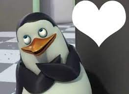 Éste es el editor mágico de pingüinos de madagascar. Photo Montage Cabo Los Pinguinos De Madagascar Pixiz