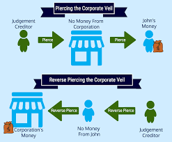 Case Study How Does Reverse Veil Piercing Occur Corporate Direct