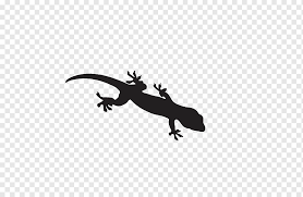 Start by drawing the head. Cartoon Drawing Euclidean Cartoon Black Lizard Cartoon Character Animals Black Hair Png Pngwing