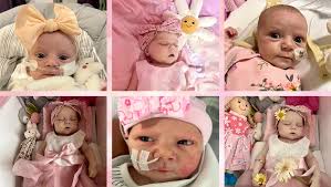 Fundraiser by Katie Hart : A funeral for #HeartWarrior Daisy