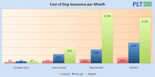How do i get a certificate of liability insurance? How Much Is Dog Insurance Petmoneysaver