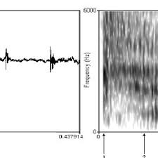 Try for 120 nights w/ free shipping on all mattresses: Pdf An Acoustical Study Of English Plosives In Word Initial Position Produced By Malays