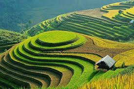 Terrace Farming Around The World Types Of Farming Types Of Farming Terrace Rice Terraces