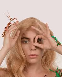 None of these gifs were made by me. Lady Gaga Gifs Bill Porter Animation