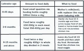 11 Month Baby Diet Chart In Hindi Www Bedowntowndaytona Com
