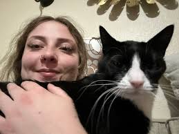 So this happened earlier this week. Wasn't expecting to have wild turkeys  invade my yard in downtown! Talk about a double take. Update: the cat!  What's funnier is this isn't my cat.