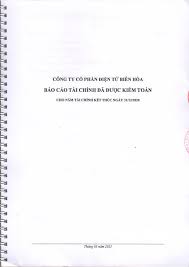 báo cáo tài chính đã được kiểm toán - cho năm tài chính kết thúc ...