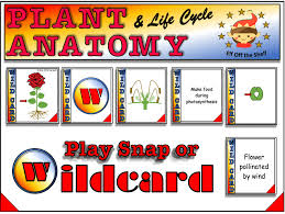 We did not find results for: Plant And Animal Cells Games Compendium Ks3 Teaching Resources