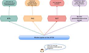 Que Faire Apres Un Bac St2s Etudes Et Metiers