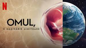 Comment must not exceed 1000 characters. 100 De Oameni Site Oficial Netflix