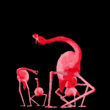 Flamingos Gifs Tenor
