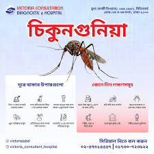 চিকুনগুনিয়ার লক্ষণসমূহ