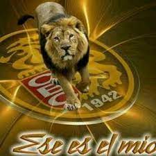Si bien, ronny cedeño, al impulsar la anotación de andretty cordero, puso a los felinos a la cabeza en el tercer ining; Pin On Leones Del Caracas