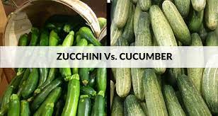 Nutritional value of zucchini according to the united states department of agriculture (usda), 1 cup of raw chopped zucchini with. Difference Between Zucchini Cucumber In Terms Of Nutrition Taste