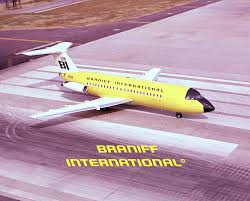 Image result for Yellow 1988 Fleet