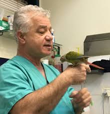 חלק מהתוכאים במשפחתינו 🐦🐦🐦