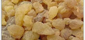 فوائد شرب المر للنفاس موضوع