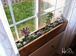 A large indoor window box in moderate to low light can host a variety of plants that need full shade or partial shade. How To Make A Succulent Window Box Indoor Window Planter Window Planters Window Box