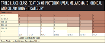 Retina Today Updated Ajcc Classification For Posterior