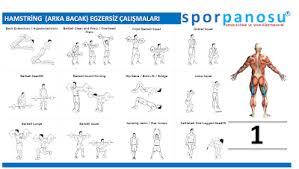 Spor Panosu Atletizm Hentbol Badminton